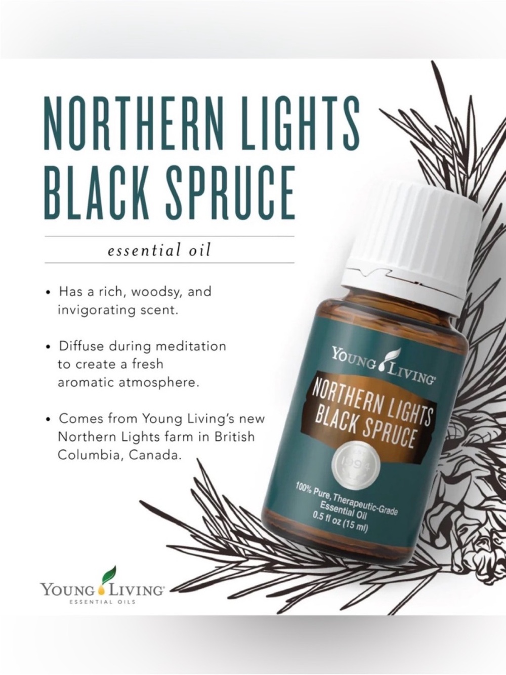 Young Living Northern Lights Black Spruce Essential Oil - Teal and White